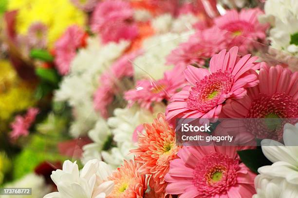 Floristería Foto de stock y más banco de imágenes de Blanco - Color - Blanco - Color, Buqué, Florista