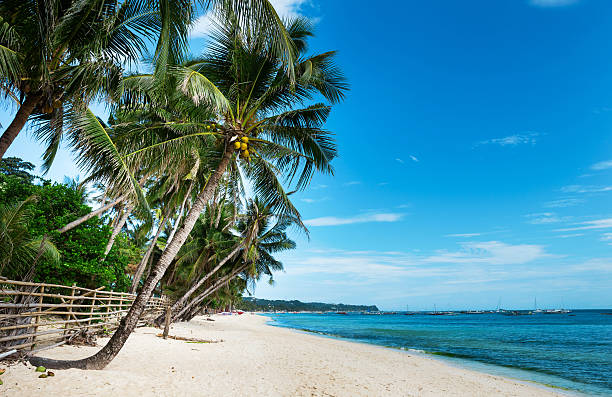 istock Perfect white sand beach on Boracay island 173768776