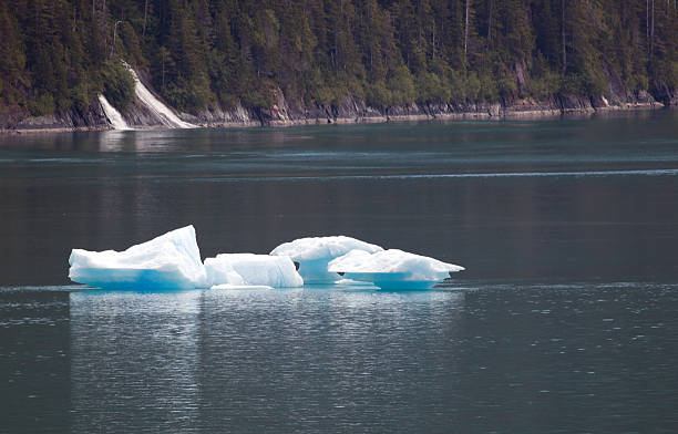 istock Iceberg floating in Tracy Arm, Alaska.  Copy space. 173768812