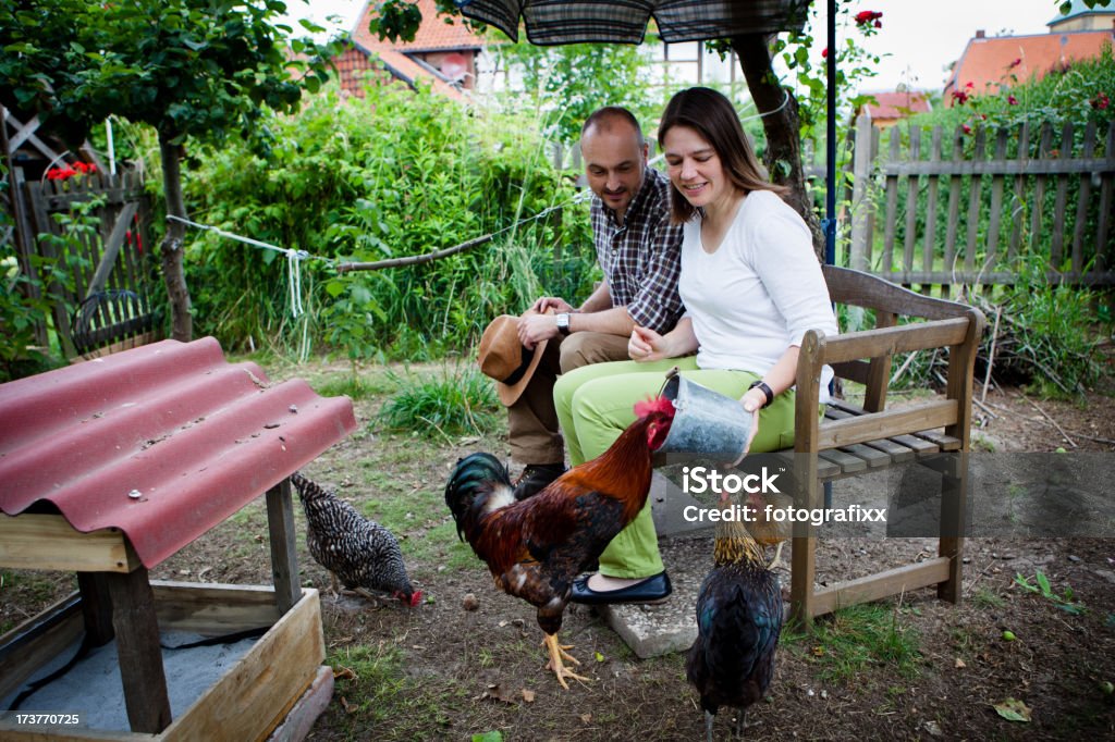 Coppia di avanzamento il pollo e sollevare - Foto stock royalty-free di Adulto