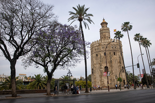 Street view of Golden Tower (Torre del Oro), on the quayside of the river Guadalquivir, Seville, Spain.