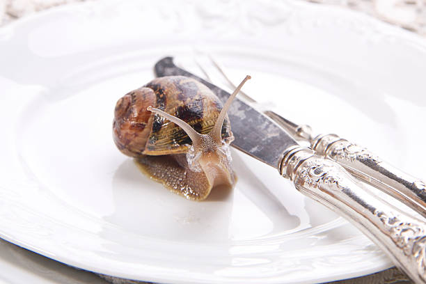 istock Lunch of Snails 173770731