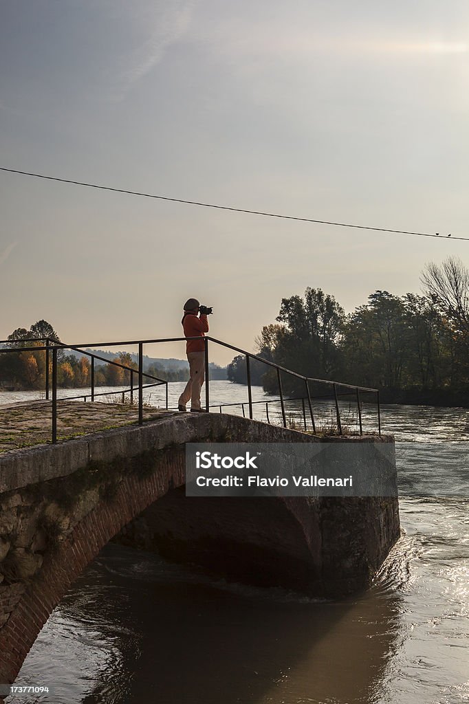 따라 아디제 강, 이탈리아 베로나 - 로열티 프리 11월 스톡 사진