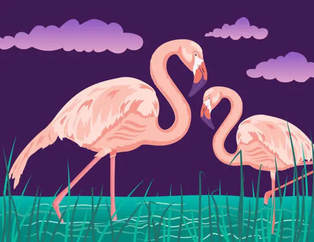 Vector illustration of Standing Flamingos In The Water With A Purple Sky