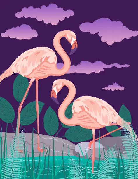 Vector illustration of Standing Flamingos In The Water With A Purple Sky