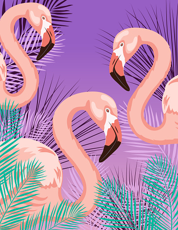 Standing Flamingos on a Purple Background With Plants