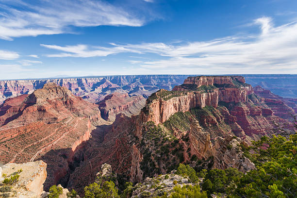 Panorama of Grand Canyon from Cape Royal on North Rim Panorama of Grand Canyon from Cape Royal on North Rim. From left to right Vishnu Temple, Coronado Butte, Horseshoe Mesa and Wotans Throne. cape royal stock pictures, royalty-free photos & images