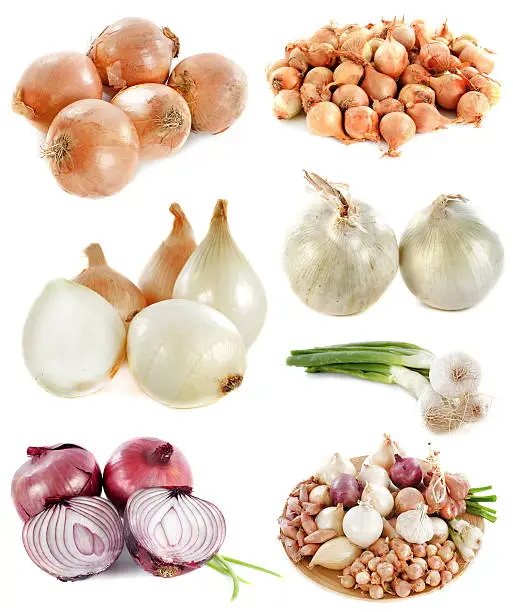 group of onions in front of white background