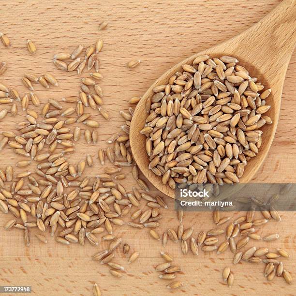 Wheat Grain Stock Photo - Download Image Now - Beech Tree, Cereal Plant, Dried Food