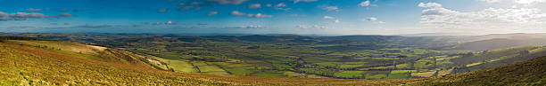 luz solar na verde panorama bucólico - welsh culture wales field hedge - fotografias e filmes do acervo