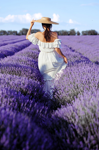 A girl in  lavender  field  in a white dress and straw hat stands by a lavender  field, embodying rustic charm.