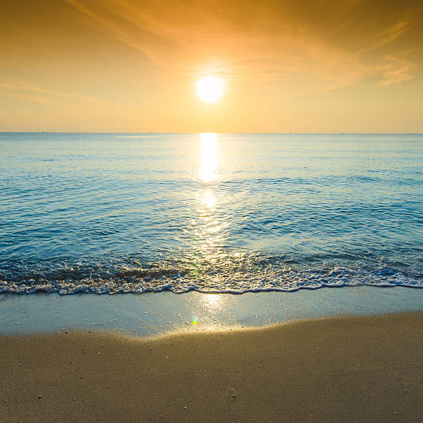 istock Beautiful tropical beach against the sea and sky. 173773478