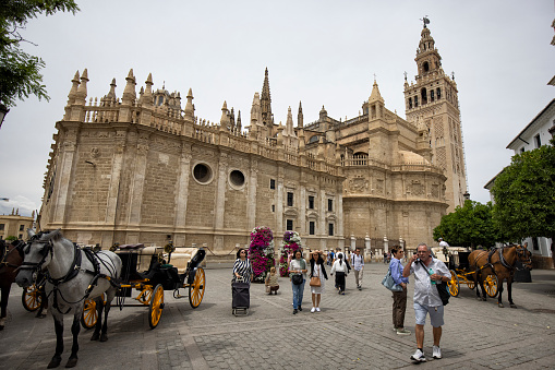 Street view outside of Seville Cathedral and 
 Giralda tower, Spain. Many tourists and horse carriages can be seen.
