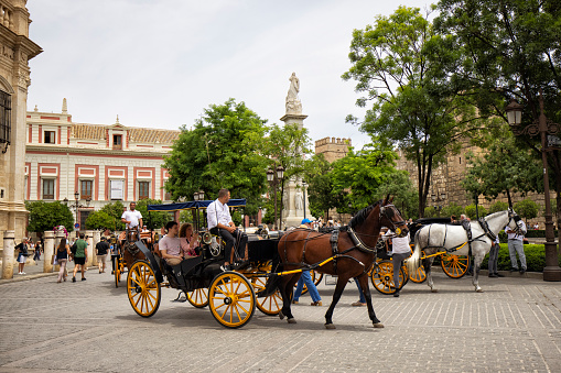 Street view outside of Seville Cathedral and \n Giralda tower, Spain. Many tourists and horse carriages can be seen.