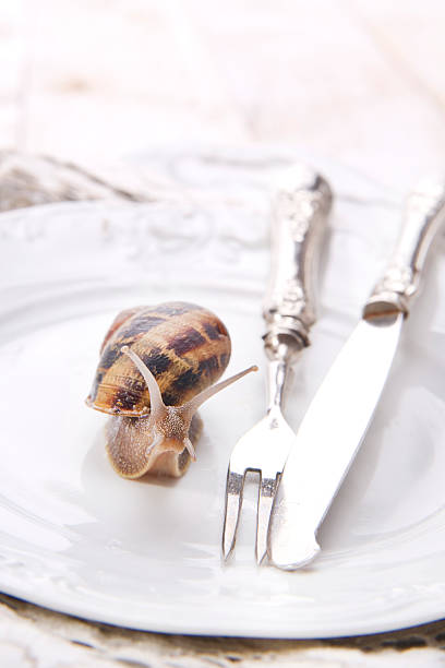 istock Lunch of Snails 173775066