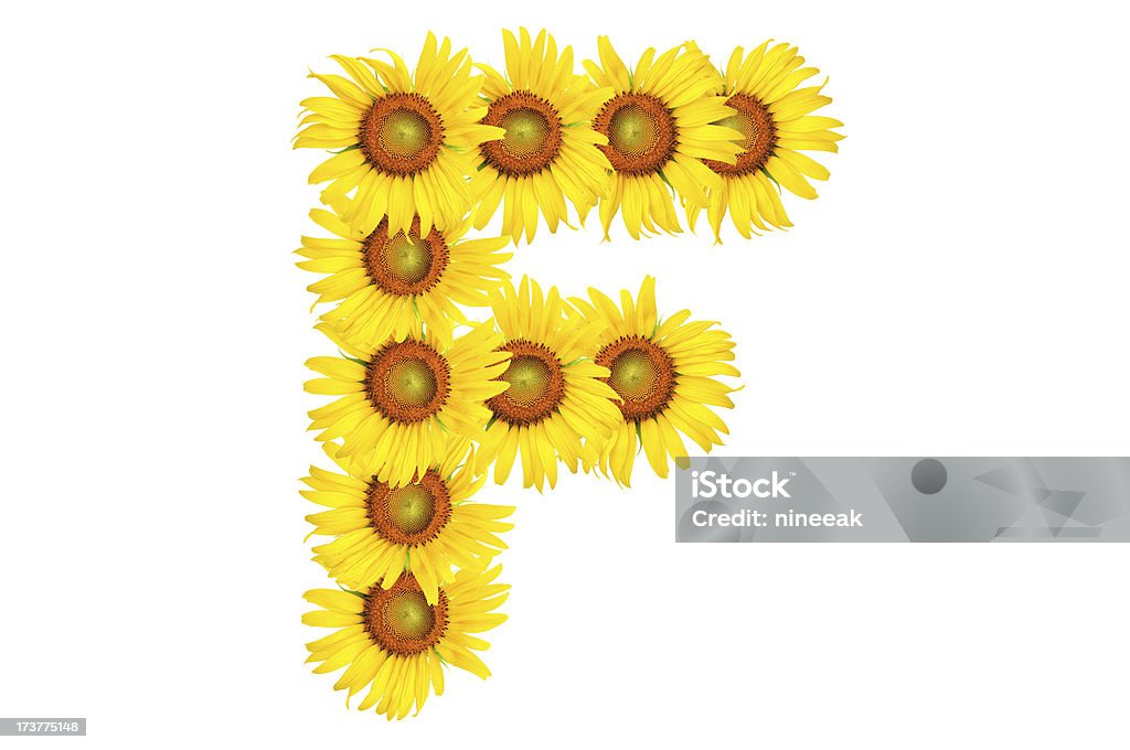 Алфавит из sunflower - Стоковые фото Белый роялти-фри
