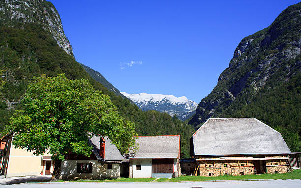 istock Old wooden house 173775801