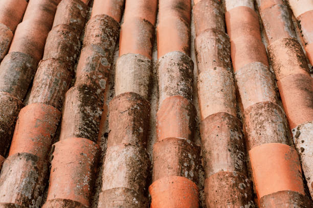 azulejos de rojo - musgo apretado fotografías e imágenes de stock