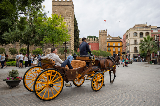 Street view outside of Seville Cathedral and \n Giralda tower, Spain. Many tourists and horse carriage can be seen.