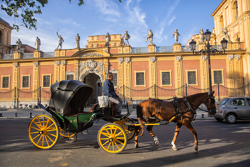 A horse carriage passing by Palace of Saint Telmo, Seville, Spain