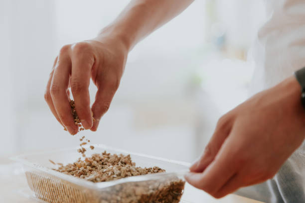 istock A young man plants wheat seeds in a container. 1737775836