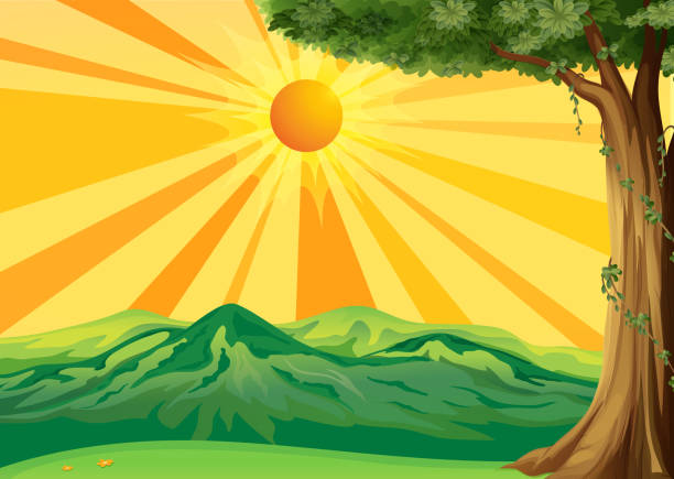 illustrazioni stock, clip art, cartoni animati e icone di tendenza di sunrise vista - catroon