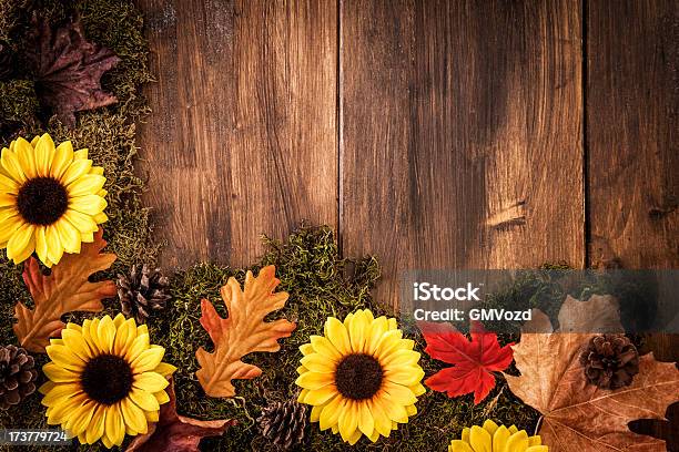 Outono Fundo Com Decoração De Folhasname - Fotografias de stock e mais imagens de Setembro - Setembro, Plano de Fundo, Girassol