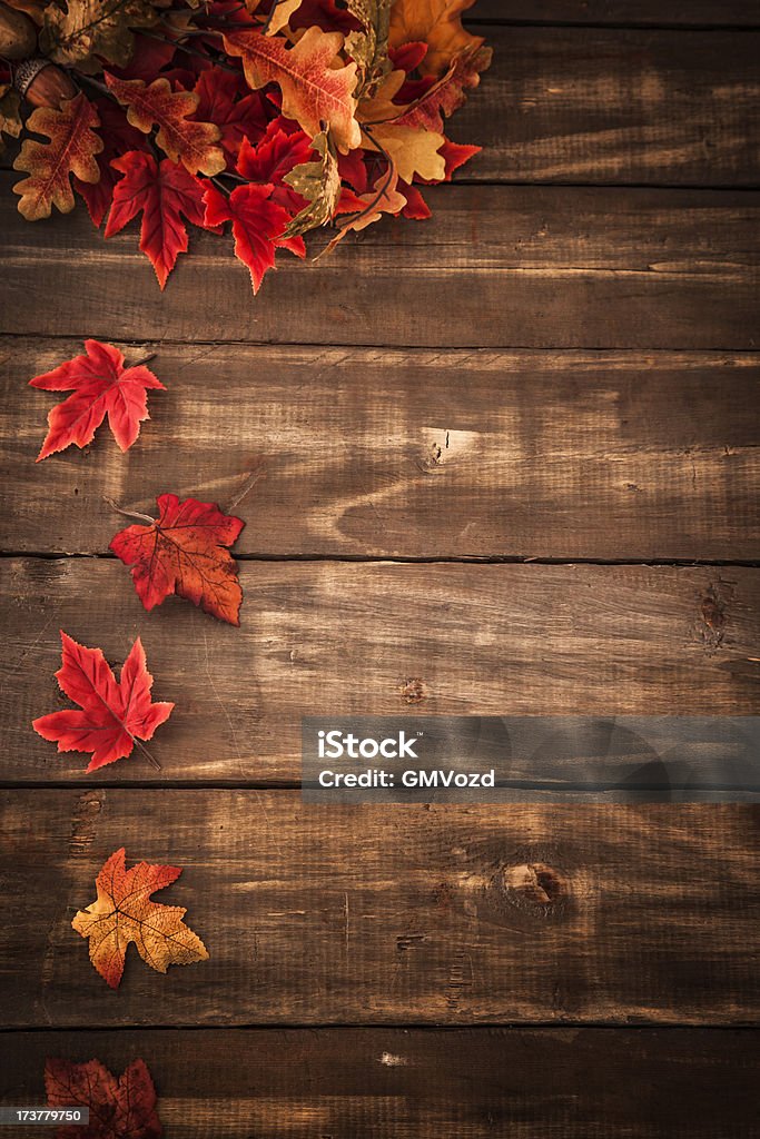 秋の装飾を背景に Leafs - 秋のロイヤリティフリーストックフォト