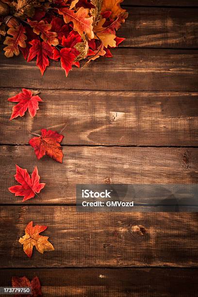 秋の装飾を背景に Leafs - 秋のストックフォトや画像を多数ご用意 - 秋, 背景, 葉