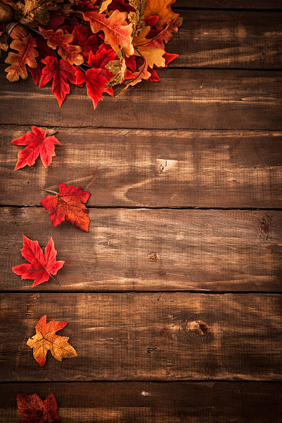 istock Autumn Decoration Background with Leafs 173779750