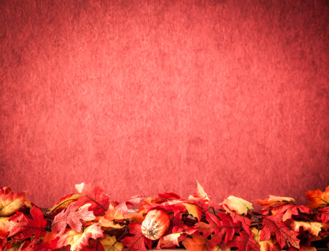 Autumn decoration with leaf garland, copyspace