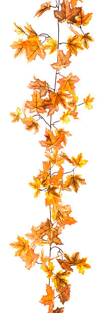 hoja garland - wreath autumn flower thanksgiving fotografías e imágenes de stock