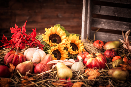 Autumn decoration with leafs