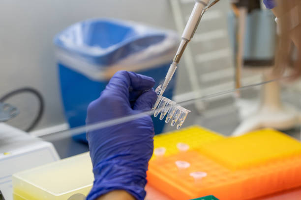 Scientist pipetting sample into vial for DNA testing. Scientist loads samples DNA monkeypox amplification by PCR into plastic strip tubes. Biochemistry specialist works with lab equipment científico pipeteando la muestra en el vial para pruebas de adn. un científico carga muestras de amplificación de la viruela símica de adn por pcr en tubos de tiras de plástico. especialista en bioquímica trabaja con equipos de laboratorio