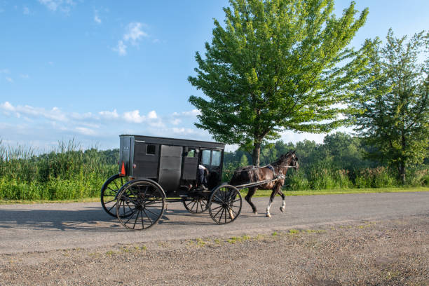 istock Amish Buggy in Summer in Lowlands 1737818985