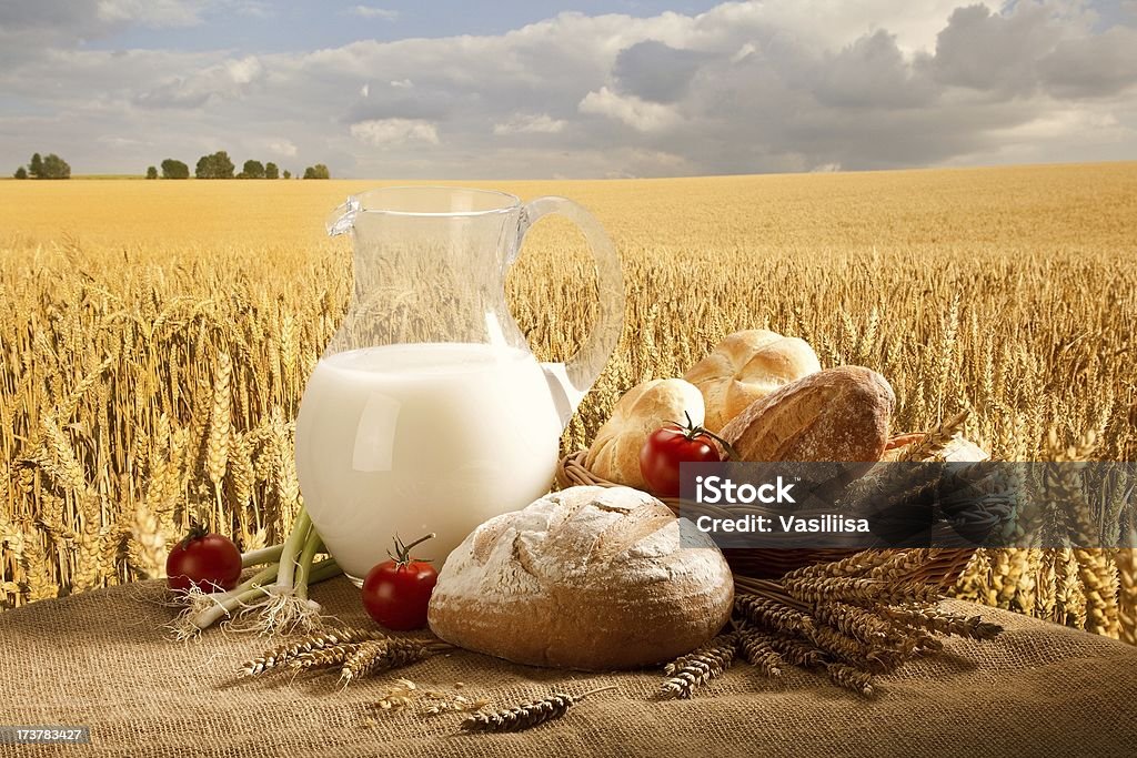 Bread and milk. When creating this picture inspired me cooking. Agricultural Field Stock Photo