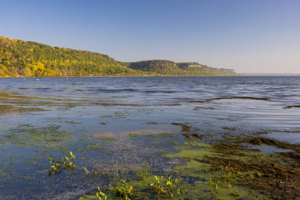 istock Mississippi River Autumn Landscape 1737836533