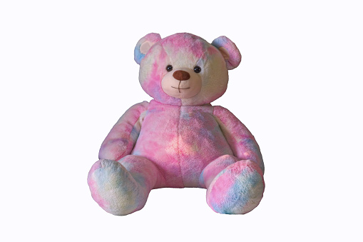 Pink teddy bear toy isolate on white background. Close-up.