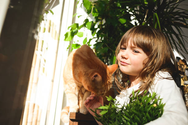 istock cute girl in a sunny day with her fluffy cat. 1737856442