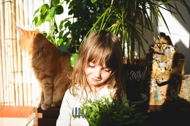 lite girl with her domestic cat enjoying the sun in a morning.