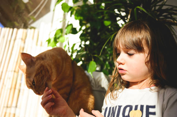 istock cute preschool girl playing with cat. 1737856965
