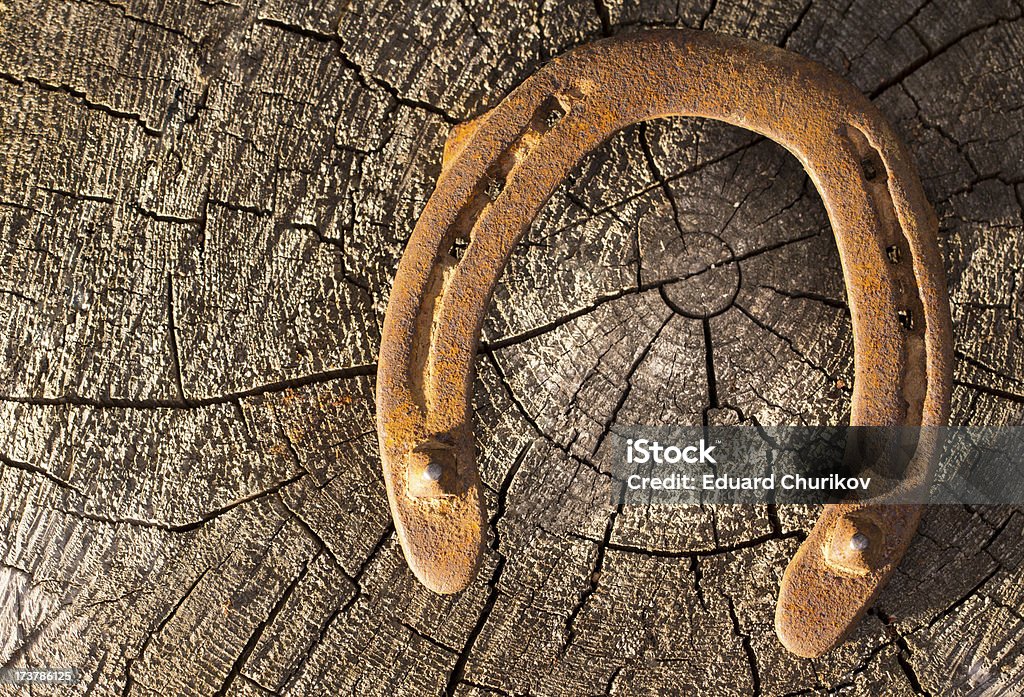 horseshoe - Royalty-free Casco - Pata de animal Foto de stock