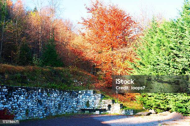 Outono - Fotografias de stock e mais imagens de Ao Ar Livre - Ao Ar Livre, Beleza natural, Cena Não Urbana