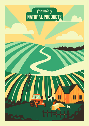 Farming, Agriculture and natural products concept. Landscape with agricultural fields, forest and village. Vector illustration for poster, background or book cover