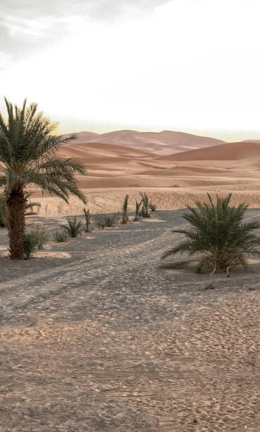 istock Sunrise, ⁨Et-Taous⁩, ⁨Morocco 1737956057