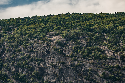 Striations in Rock ledge along maine coast on Mount Desert Island in Acadia National Park in Maine.