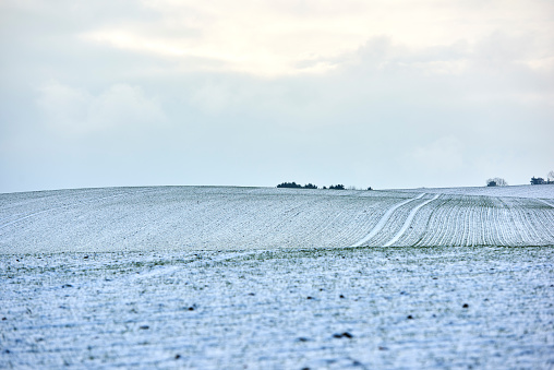 Danish nature in wintertime - dressed in frost and snow