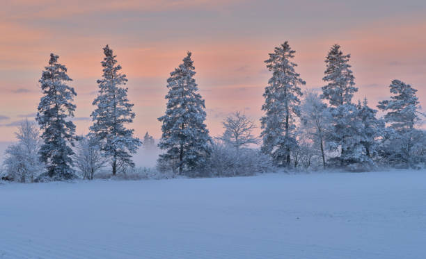istock Winter dressed in snow and frost 1737968957