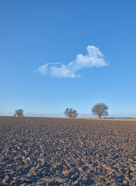 Agricultural farming Landscape in the county of Nottinghamshire Winter view. HS2 Railway is due to run straight through this view near j27 of the M1 Motorway.