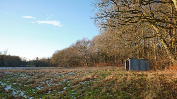 Danish farmland in wintertime